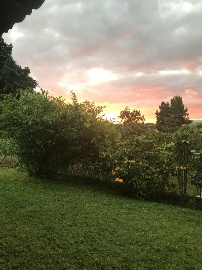 Charmant Bungalow Au Coeur De L'Ile Baie-Mahault Dış mekan fotoğraf